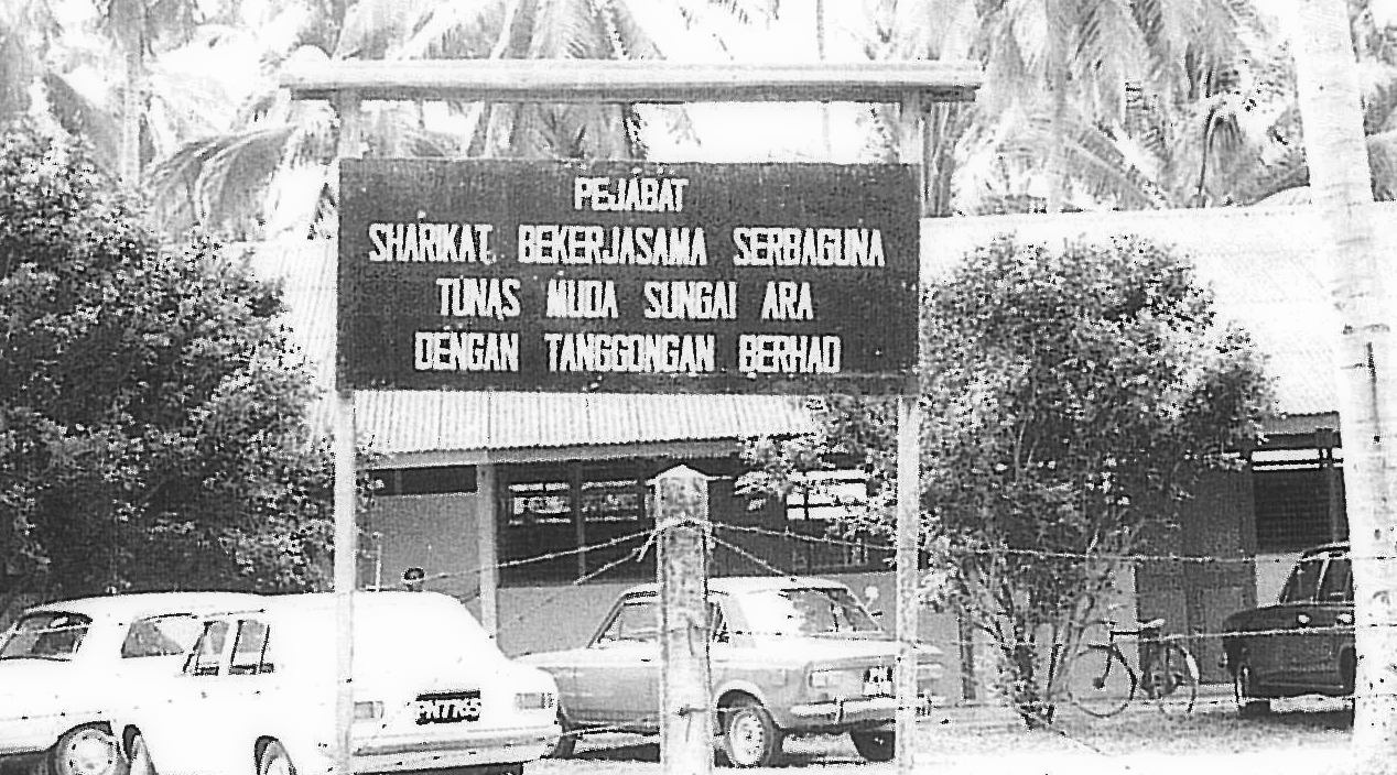 Landskap tanah di kawasan Sungai Ara
